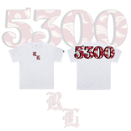5300 V3 WHITE