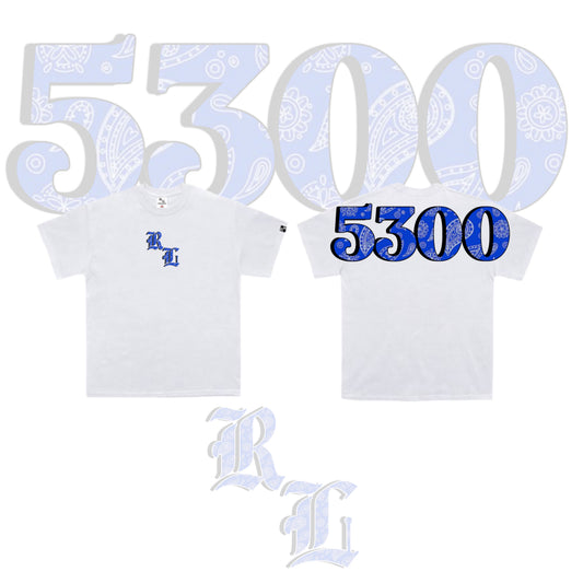 5300 V3 WHITE