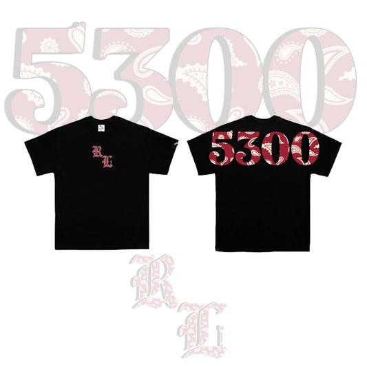 5300 V3 BLACK
