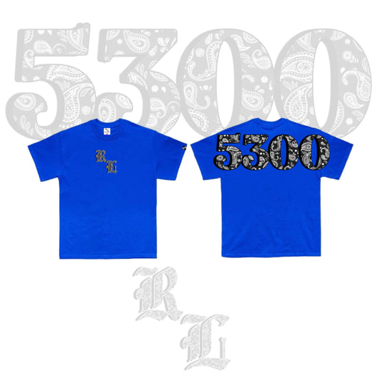 5300 V3 BLUE