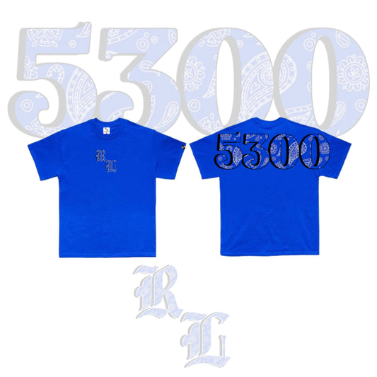 5300 V3 BLUE