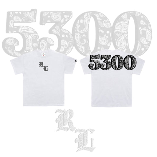 5300 V3 WHITE