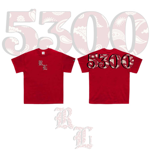 5300 V3 RED