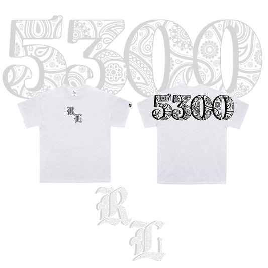 5300 V3 WHITE